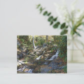 Carte Postale Parc commémoratif Bobby McLean #5, Newland, Caroli (Debout devant)