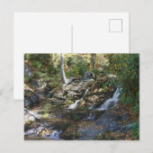 Carte Postale Parc commémoratif Bobby McLean #5, Newland, Caroli (Devant / Derrière)