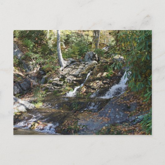 Carte Postale Parc commémoratif Bobby McLean #5, Newland, Caroli (Devant)