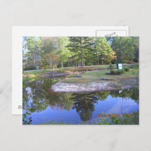 CARTE POSTALE "PARC COMMUN OKEFENOKEE" (Devant / Derrière)