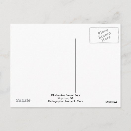 CARTE POSTALE "PARC COMMUN OKEFENOKEE" (Dos)