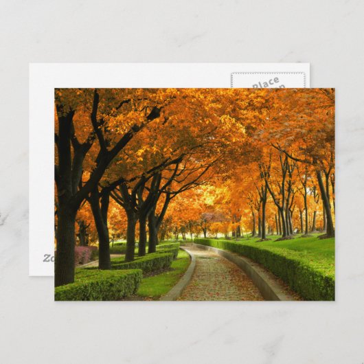 Carte Postale Parc d'automne (Devant / Derrière)