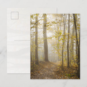 Carte Postale Parc d'automne atmosphérique dans la brume