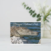 Carte Postale Parc de Biscayne Bay Miami Beach Florida Postcard (Debout devant)