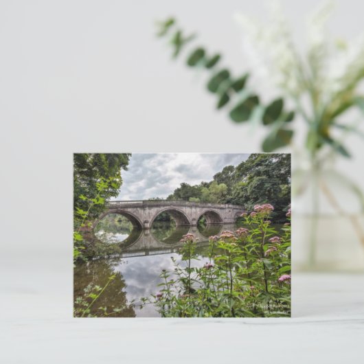 Carte Postale parc de comptoir (Debout devant)