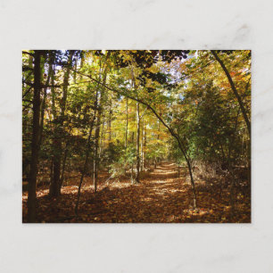 Carte Postale Parc de Greenbelt en automne I paysage du Maryland