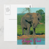 Carte Postale Parc de Kruger, Afrique du Sud (Devant / Derrière)