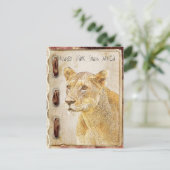 Carte Postale Parc de Kruger, Afrique du Sud (Debout devant)