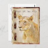 Carte Postale Parc de Kruger, Afrique du Sud (Devant / Derrière)