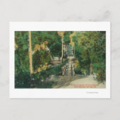 Carte Postale Parc de pique-nique Alum Rock Vista View (Devant)