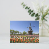 Carte Postale Parc de Windmill Island avec tulipes en fleurs à (Debout devant)