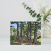 Carte Postale Parc Deis Hill, Dover, Ohio (Debout devant)