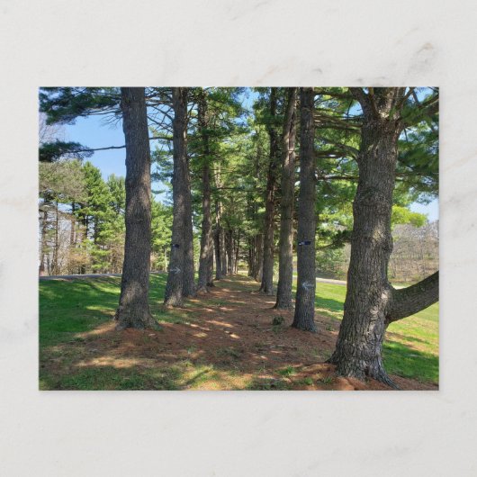 Carte Postale Parc Deis Hill, Dover, Ohio (Devant)