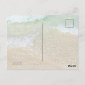 Carte Postale Parc des dunes de la plage de Floride Ponce Inlet (Dos)