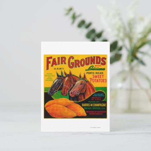 Carte Postale Parc des expositions Yam Label Breaux Bridge, LA (Debout devant)