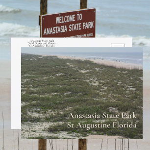 Carte Postale Parc d'État d'Anastasia St Augustine FL Photograph