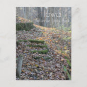 Carte Postale Parc d'état de Bellevue (Devant)