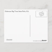 Carte Postale Parc d'état de Calaveras Big Trees, CA. (Dos)