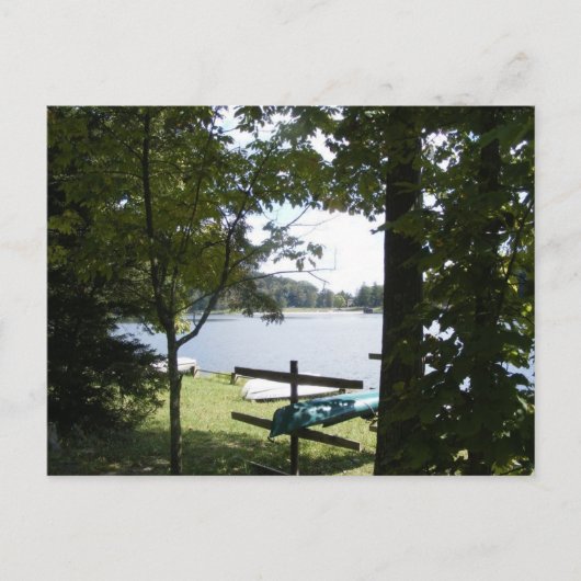 Carte Postale parc d'état de cowans gap pennsylvanie lac arbre c (Devant)