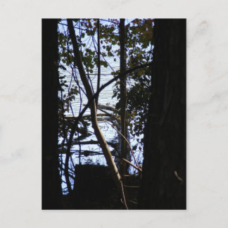 Carte Postale Parc d'état de Fort Yargo