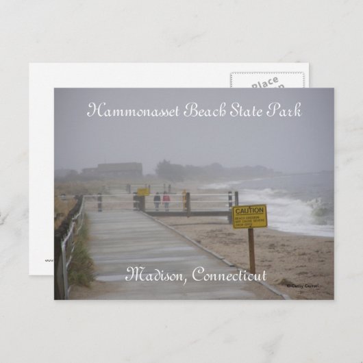 Carte Postale Parc d'état de Hammonasset Beach (Devant / Derrière)