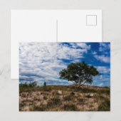 Carte Postale Parc d'état de Ludington, Michigan (Devant / Derrière)