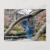 Carte Postale Parc d'état de Matthiessen Illinois (Devant)