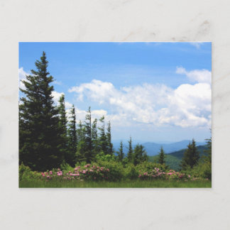 Carte Postale Parc d'état de Mt. Mithcell