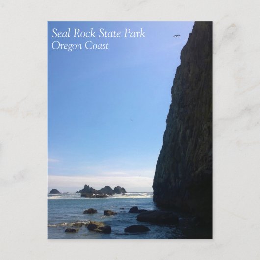 Carte Postale Parc d'État de Seal Rock, OR (Devant)
