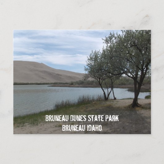 Carte Postale Parc d'état des Dunes Bruneau (Devant)