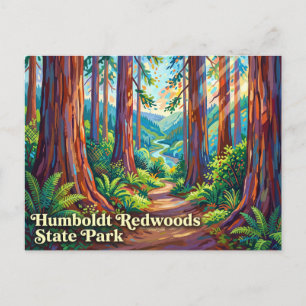 Carte Postale Parc d'État des Redwoods Humboldt Californie