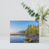 Carte Postale Parc d'état d'Itasca, Minnesota (Debout devant)