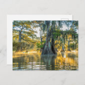 Carte Postale Parc d'état du lac Fausse-Pointe (Devant / Derrière)