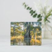 Carte Postale Parc d'état du lac Fausse-Pointe (Debout devant)