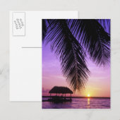 Carte Postale Parc d'État John Pennekamp, Florida Keys, Key (Devant / Derrière)