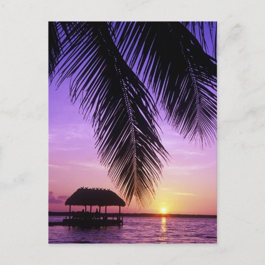 Carte Postale Parc d'État John Pennekamp, Florida Keys, Key (Devant)
