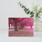 Carte Postale Parc d'Imaginaire rose (Debout devant)