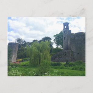 Carte Postale Parc du château de Blarney
