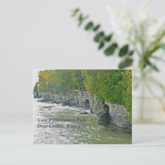 CARTE POSTALE "PARC DU COMTÉ CAVE POINT" / MAGNIFIQUE COMTÉ DE D (Debout devant)