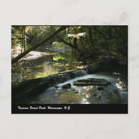 Carte Postale Parc forestier de Tararua, Wairarapa, N.Z. (Devant)