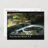 Carte Postale Parc forestier de Tararua, Wairarapa, N. Z. (Devant / Derrière)