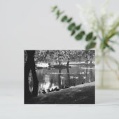 Carte Postale Parc Life pccna (Debout devant)