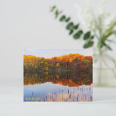 Carte Postale parc marthaler automne et réflexion d'étang postca (Debout devant)