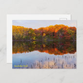 Carte Postale parc marthaler automne et réflexion d'étang postca (Devant / Derrière)