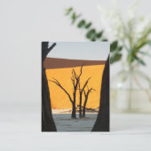 Carte Postale Parc Namib-Naukluft, Sossusvlei | Dead Vlei (Debout devant)