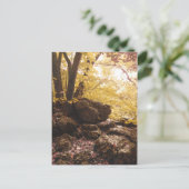 Carte Postale parc national backbone iowa (Debout devant)