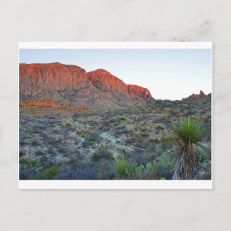 Carte Postale Parc national Big Bend