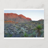 Carte Postale Parc national Big Bend (Devant)