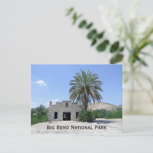 Carte Postale Parc national Big Bend (Debout devant)