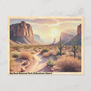 Carte Postale Parc national Big Bend Chihuahuan Désert Vintage